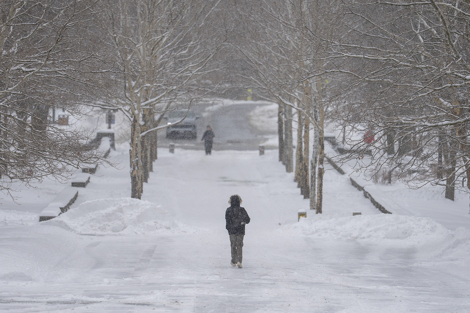Snowy Winter